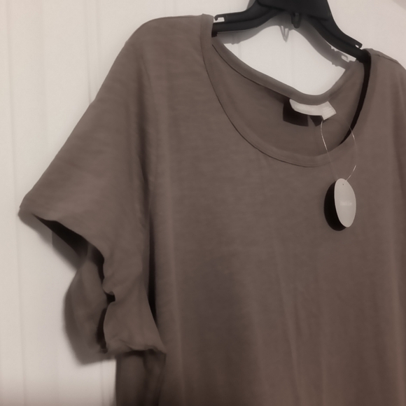 New Beige Ruffle Dress / Size 2X - Picture 3 of 4